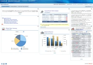 Oracle BI Interactive Dashboards_1251110032149